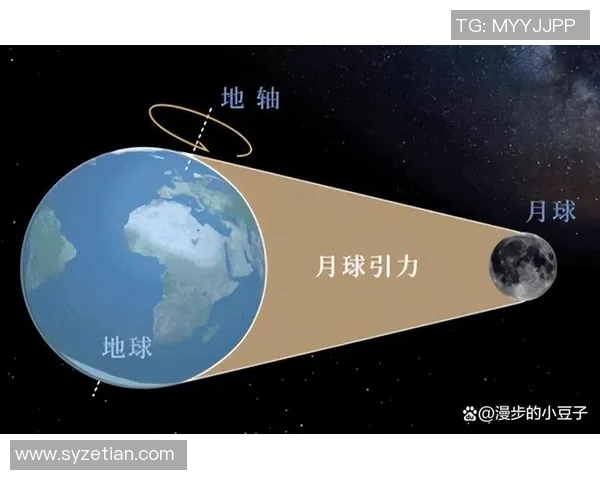 moon和for的平局比赛-月圆之战，一场Moon与For的公平较量-moon和for的平局比赛